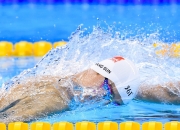 熊猫直播-跨界竞技启示录，深圳队战术压制与莫兰特焦点战接管的美学共振