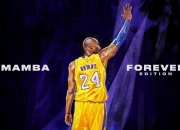 熊猫体育世界杯-黄黑风暴席卷波斯铁骑，加克波冠军级表现引领多特蒙德惊险突围