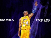 熊猫体育世界杯-黄黑风暴席卷波斯铁骑，加克波冠军级表现引领多特蒙德惊险突围