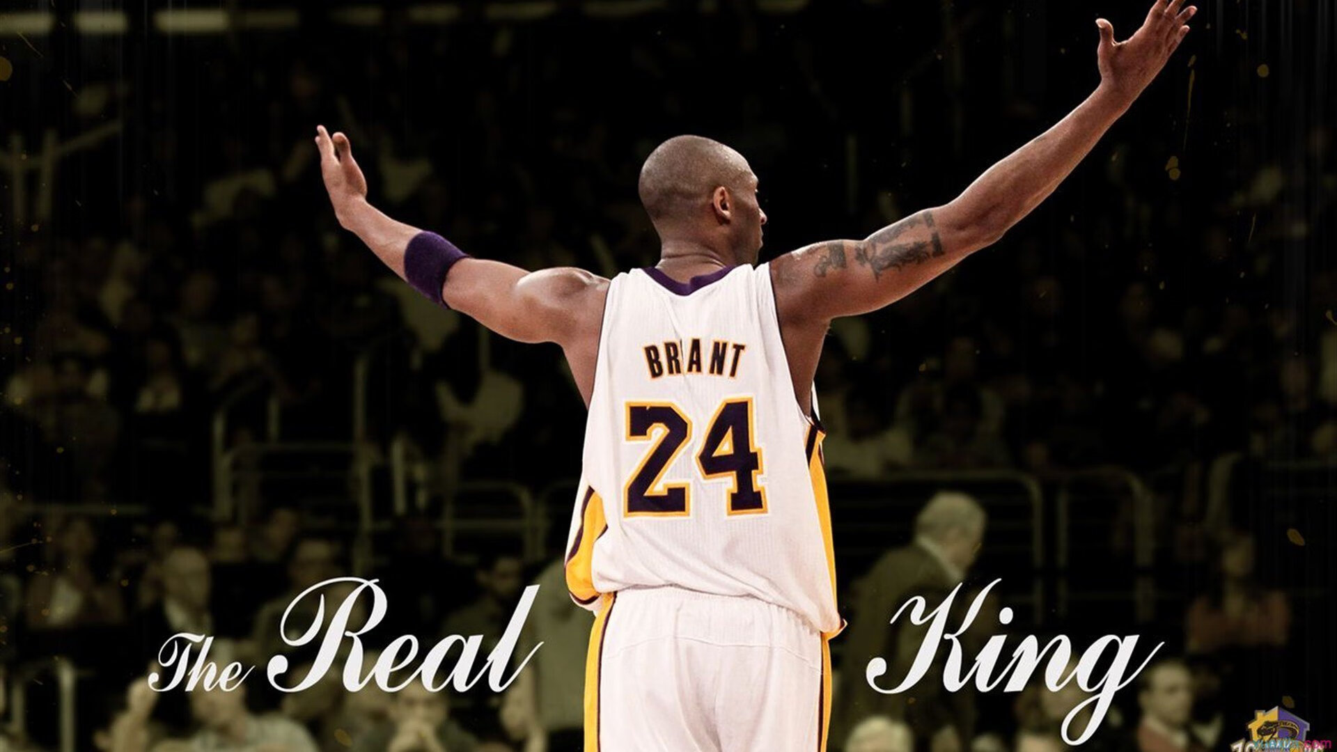 赛道上的终局艺术，维斯塔潘关键制胜，梅赛德斯绝杀威廉姆斯